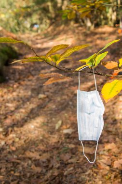 Arka planda sonbahar yolu olan ağaç dalında tek kullanımlık koruyucu maske, sonbaharda başlama kavramı.