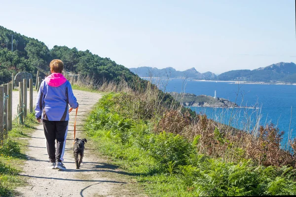 Mulher Andando Floresta Com Seu Cão — Fotografia de Stock