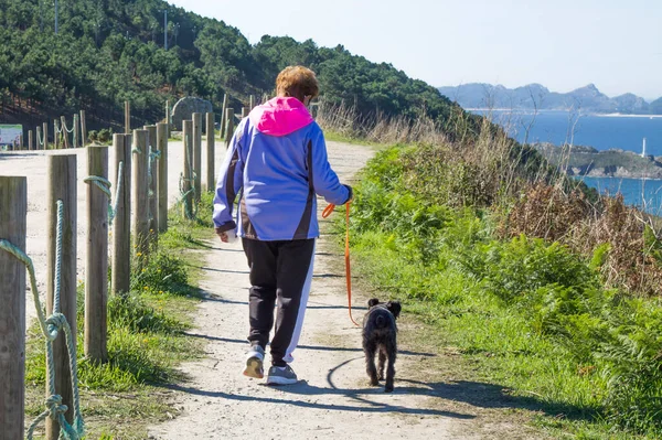 Mulher Andando Floresta Com Seu Cão — Fotografia de Stock