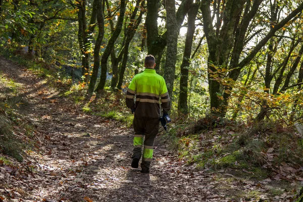 Lenhador Trabalhador Florestal Caminhando Pela Floresta — Fotografia de Stock