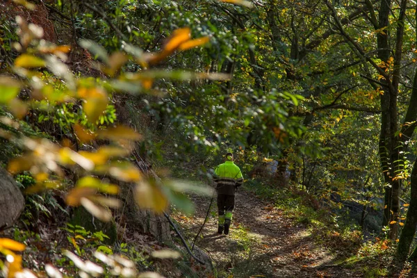Ormanda Yürüyen Oduncu Orman Işçisi — Stok fotoğraf