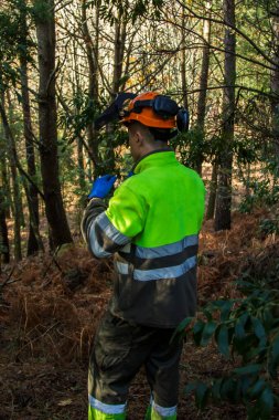 Oduncu ya da orman işçisi ormanda koruyucu kask takıyor.