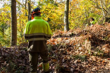 Ormanda yürüyen oduncu ya da orman işçisi