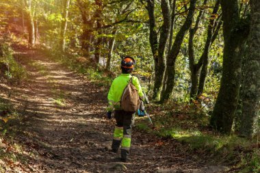 Orman işçisi kadın orman yolunda yürüyor.