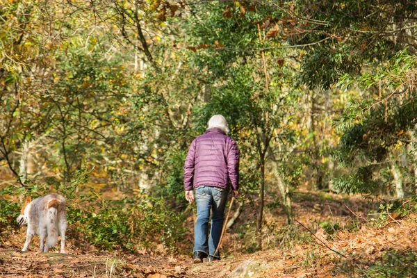 Homem Sênior Andando Com Seu Cão Solidão Floresta — Fotografia de Stock