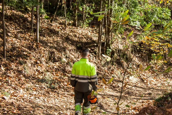 Lenhador Trabalhador Florestal Caminhando Longo Caminho Floresta — Fotografia de Stock