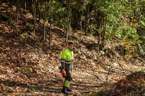 Lenhador Trabalhador Florestal Caminhando Longo Caminho Floresta — Fotografia de Stock