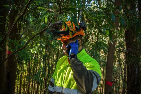 Trabajador Forestal Leñador Hablando Con Teléfono Móvil Bosque Imagen De Stock