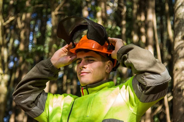 Trabajador Forestal Que Pone Casco Para Trabajar Bosque Fotos De Stock Sin Royalties Gratis