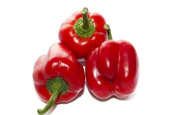 Peperoni rossi isolati — Foto Stock