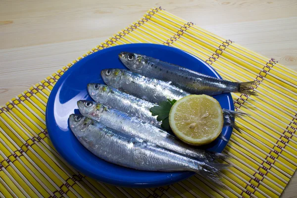 Čerstvé sardinky — Stock fotografie