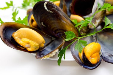 İzole lezzetli midye