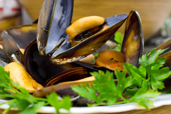 Moules savoureuses isolées — Photo