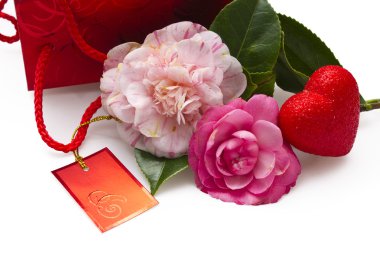 Pembe camelia ve izole kalp
