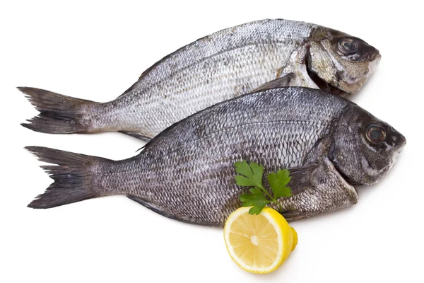 Bream isolated — Stock Photo, Image