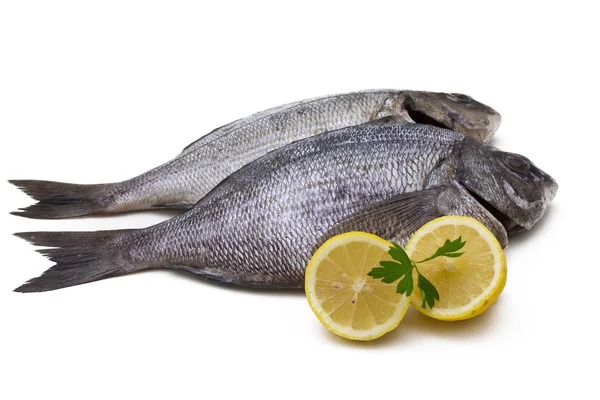 Bream isolated — Stock Photo, Image