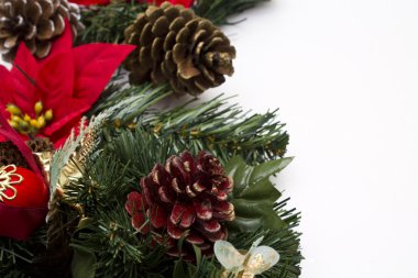 izole Atatürk çiçeği