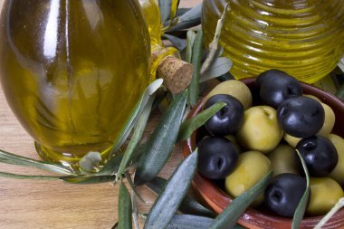 zeytin ve yağı