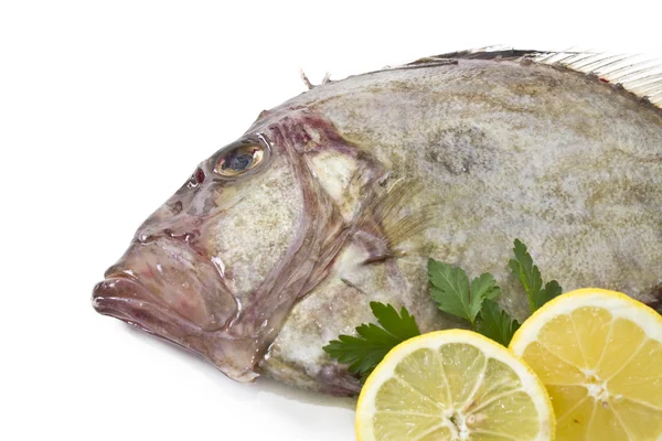 Färsk fisk isolerade — Stockfoto