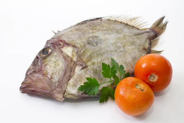 Frischer Fisch isoliert — Stockfoto