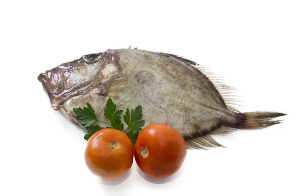 Свіжа риба, ізольовані — стокове фото