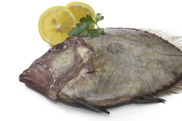Свіжа риба, ізольовані — стокове фото