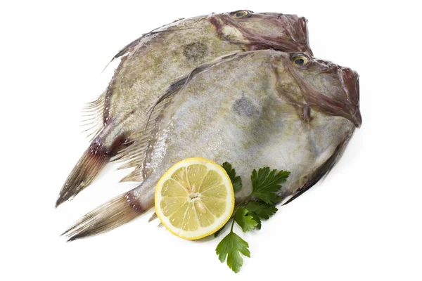 Färsk fisk isolerade — Stockfoto