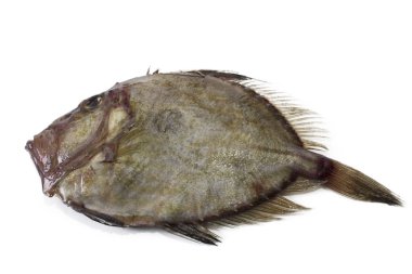 San pedro taze izole