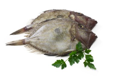 İzole limon ile balık