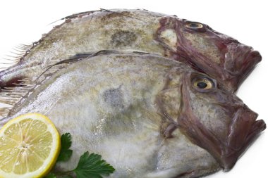 İzole limon ile balık