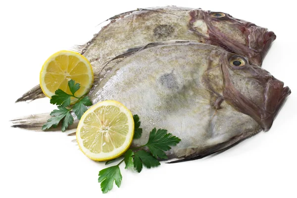 Fisch mit Zitrone isoliert — Stockfoto