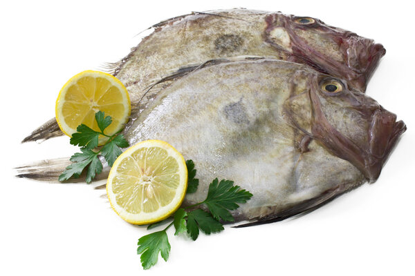 Fish with lemon isolated