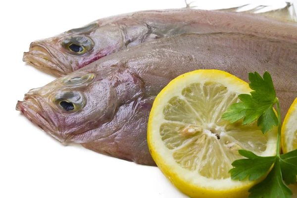 Pesce fresco con limone e prezzemolo — Foto Stock