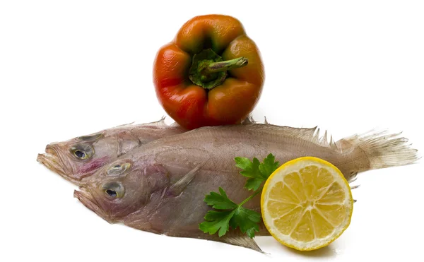 Fresh fish with lemon, parsley and pepper — Stock Photo, Image