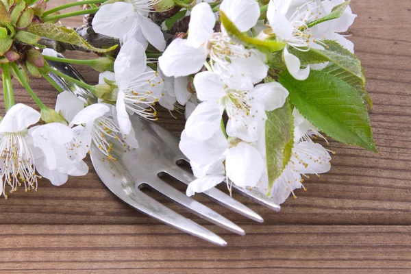 Rama de flores de cerezo con tenedor — Foto de Stock