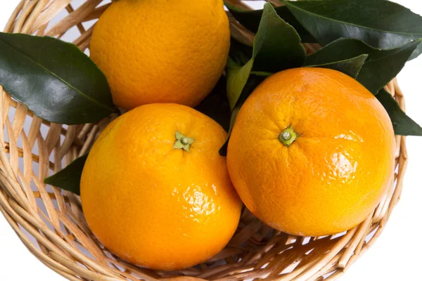 Keranjang jeruk terisolasi — Stok Foto