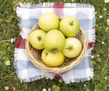 Yeşil elma ile hasır sepet