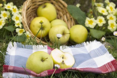 Yeşil elma ile hasır sepet
