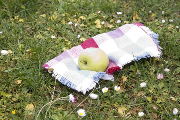 Manzana en la servilleta en el césped — Foto de Stock