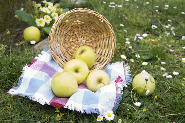 Weidenkorb mit grünen Äpfeln — Stockfoto