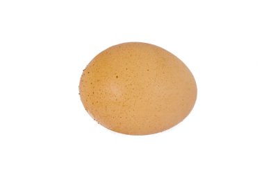 Yumurtalar