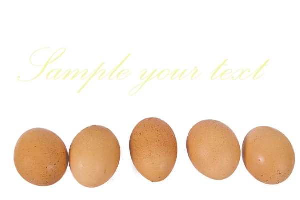 Eggs — Stock Photo, Image