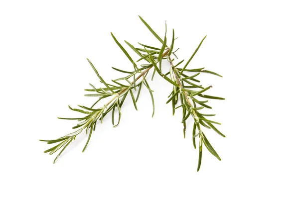 Rosemary — Stock Photo, Image