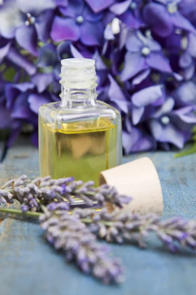 Lavanda e óleo — Fotografia de Stock