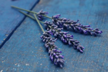 Ahşap üzerinde lavanta