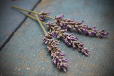 Ahşap üzerinde lavanta