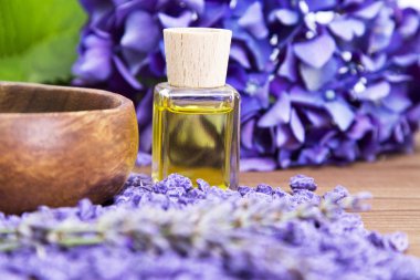 Mavi lavanta ile Spa kompozisyon