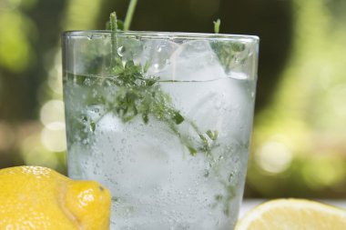 mojito bardağı