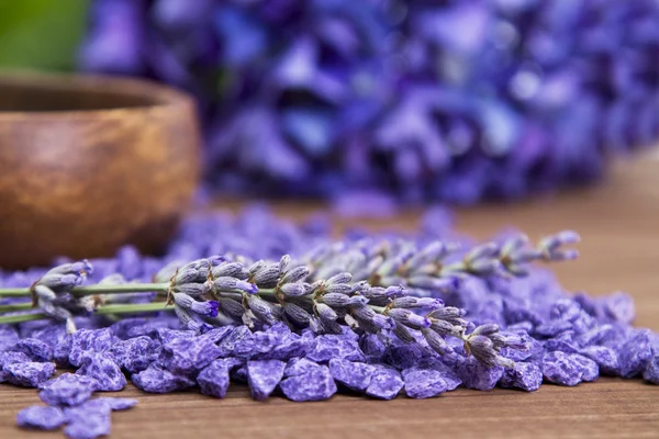 Composición del spa con lavanda azul — Foto de Stock