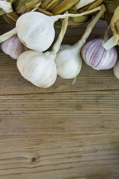 String of garlic — Stock Photo, Image